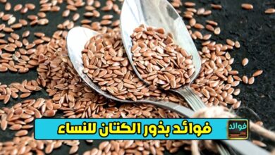 فوائد بذور الكتان للنساء