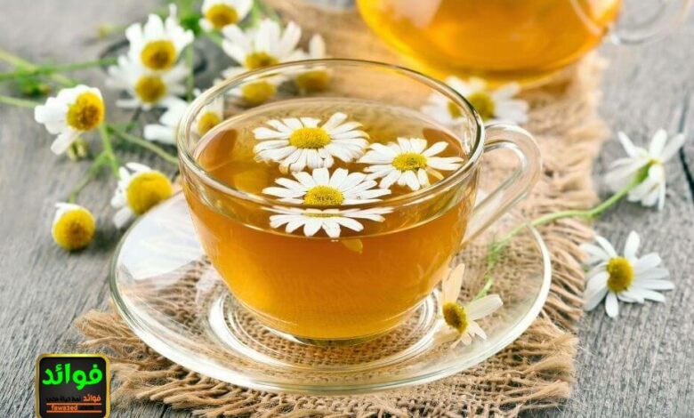 فوائد شرب البابونج قبل النوم 1 فوائد شرب البابونج قبل النوم