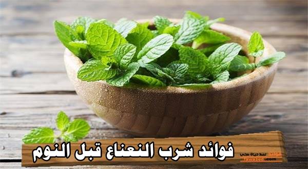 فوائد شرب النعناع قبل النوم