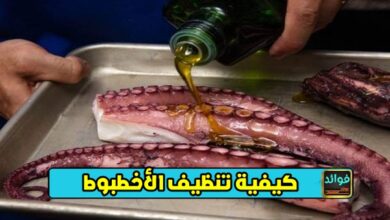 كيفية تنظيف الأخطبوط