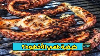 كيفية طهي الأخطبوط؟