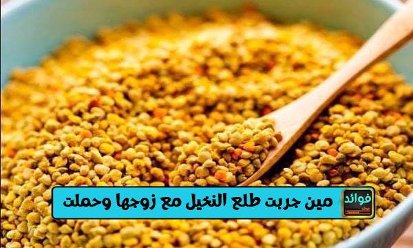 مين جربت طلع النخيل مع زوجها وحملت