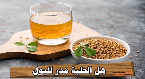 هل الحلبة مدر للبول
