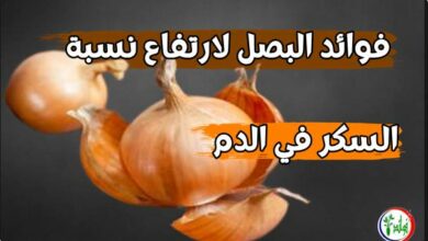 فوائد البصل لارتفاع نسبة السكر في الدم