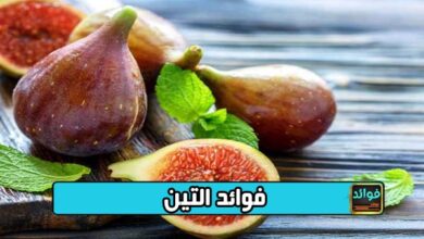 فوائد التين