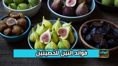 فوائد التين للخصيتين