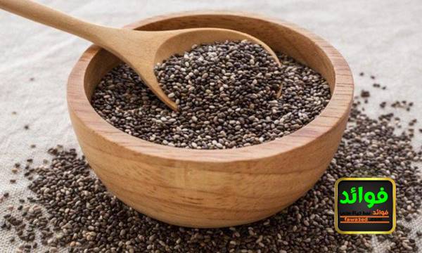 فوائد شرب بذور الشيا الممزوجة بالقهوة