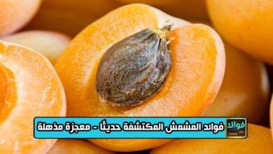 12 من فوائد المشمش المكتشفة حديثًا - معجزة مذهلة