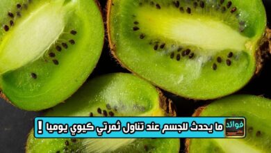 دراسة تكشف ما يحدث للجسم عند تناول ثمرتي كيوي يوميا