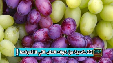 فوائد العنب: 22 خاصية من فوائد العنب التي لا تعرفها!