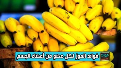 فوائد الموز لكل عضو من أعضاء الجسم