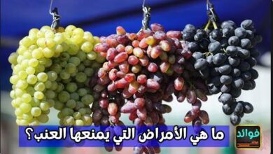 ما هي الأمراض التي يمنعها العنب؟