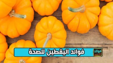 فوائد اليقطين للصحة