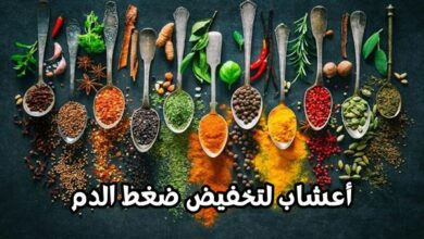 أعشاب لتخفيض ضغط الدم