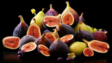 أنواع التين الشهيرة