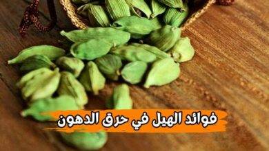 فوائد الهيل في حرق الدهون