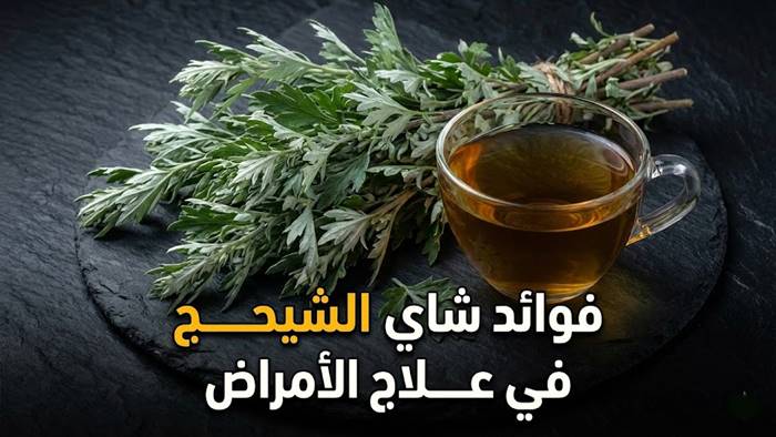 فوائد شاي الشيح في علاج الأمراض 2 فوائد شاي الشيح في علاج الأمراض