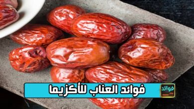 فوائد العناب للأكزيما