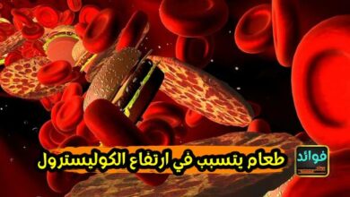 طعام يتسبب في ارتفاع الكوليسترول