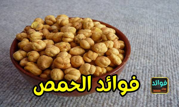 فوائد الحمص المذهلة وكل ما تحتاج إلى معرفته 5 فوائد الحمص