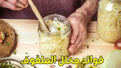 فوائد مخلل الملفوف