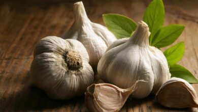 سم قاتل في الثوم