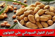 أضرار الفول السوداني على القولون
