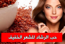 حب الرشاد للشعر الخفيف