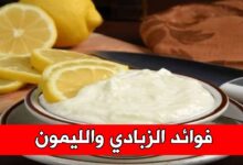فوائد الزبادي والليمون