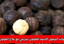 فوائد الليمون الأسود للقولون تجربتي مع علاج القولون