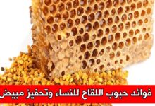 فوائد حبوب اللقاح للنساء وتحفيز مبيض