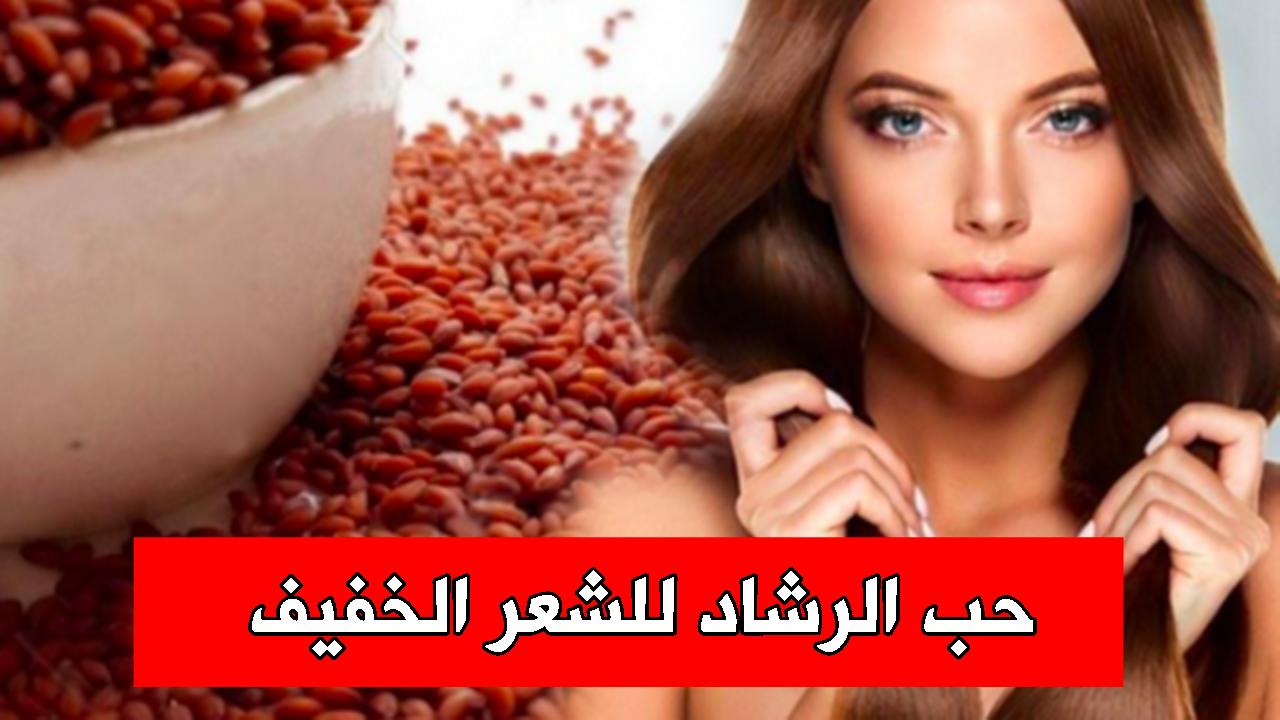 حب الرشاد للشعر الخفيف