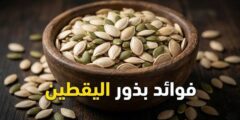 فوائد بذور اليقطين – ماذا تفعل بذور اليقطين بالجسم!