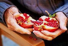 pomegranate