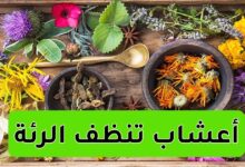 أعشاب تنظف الرئة