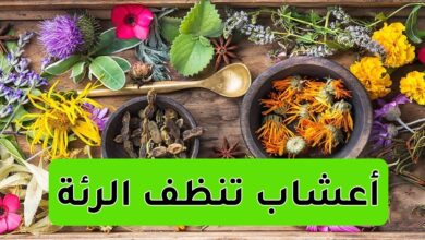 أعشاب تنظف الرئة