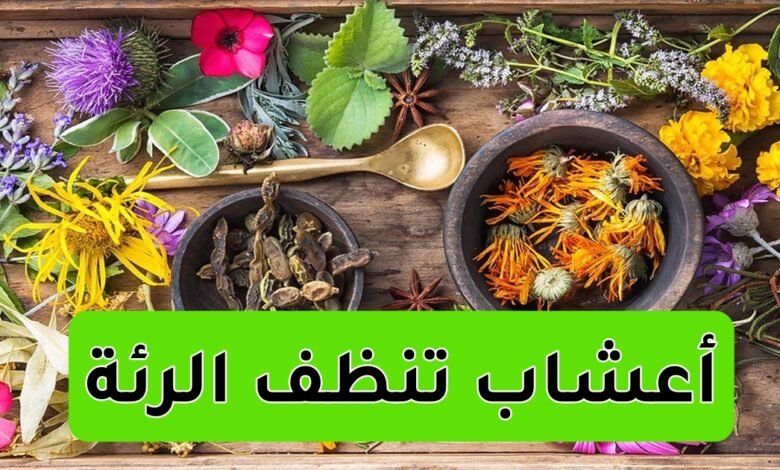 أعشاب تنظف الرئة