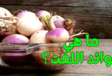 ما هي فوائد اللفت؟