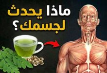 ماذا يحدث لجسمك عند تناول أوراق المورينجا يوميًا