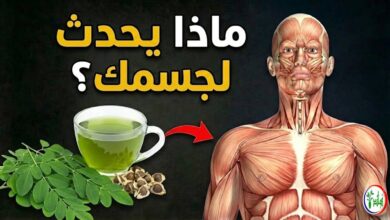 ماذا يحدث لجسمك عند تناول أوراق المورينجا يوميًا