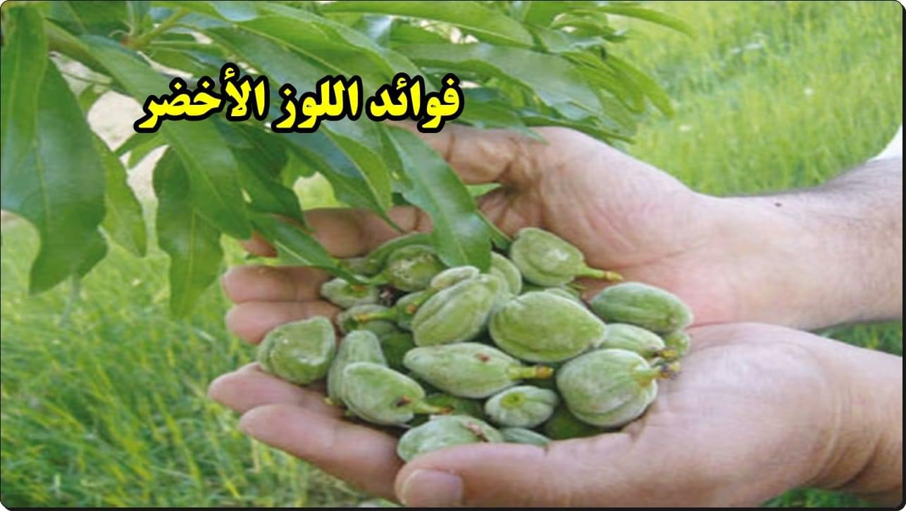 فوائد اللوز الأخضر.. عشرة اسباب تجعلك تعشق تناول اللوز الاخضر