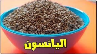 فوائد اليانسون لن تحصل عليها إلا بتناول كوب من اليانسون يومياً