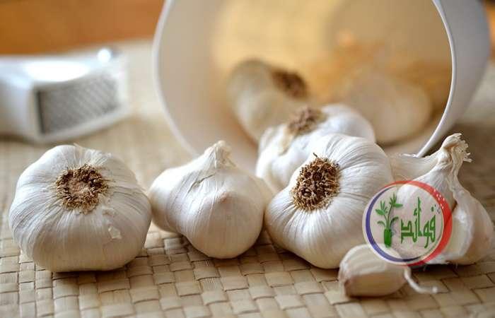 فوائد الثوم على الريق والكمية الموصي بها