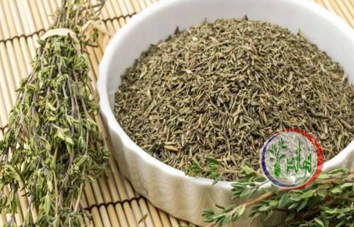 فوائد الزعتر البري | إليك أبرزها للجسم ولنظافة المنزل