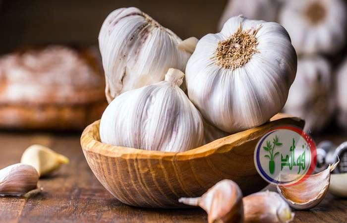 فوائد أكل الثوم المُذهلة
