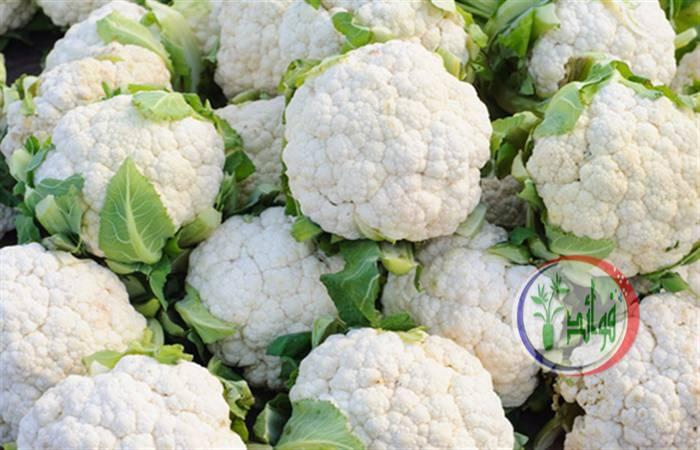 فوائد القرنبيط الصحية ومخاطر تناوله