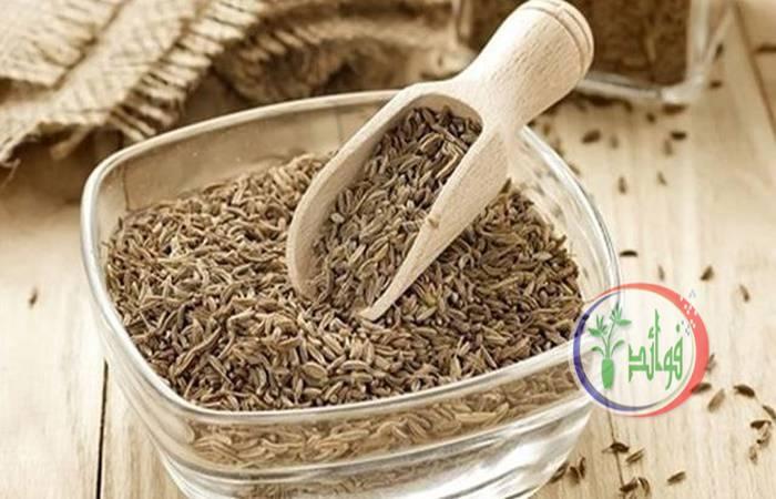 فوائد الكمون المغلي وأضرار الإفراط في شربه