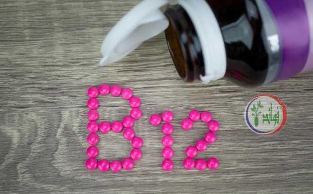 أكثر 10 أطعمة غنية بـ فيتامين ب12 Vitamin B12