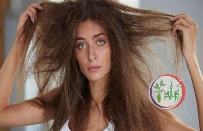 علاج جفاف وهيشان الشعر طبيعياً