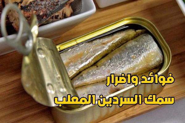 فوائد واضرار سمك السردين المعلب.. لهذا يجب تناول سمك السردين اسبوعياً
